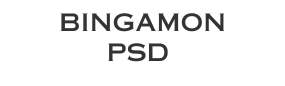 Bingamon PSD
